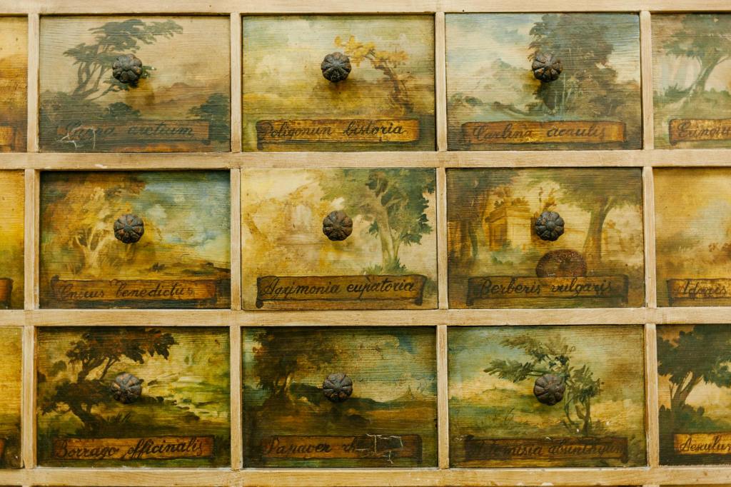 My Top Three Favourite&nbsp;Revamps